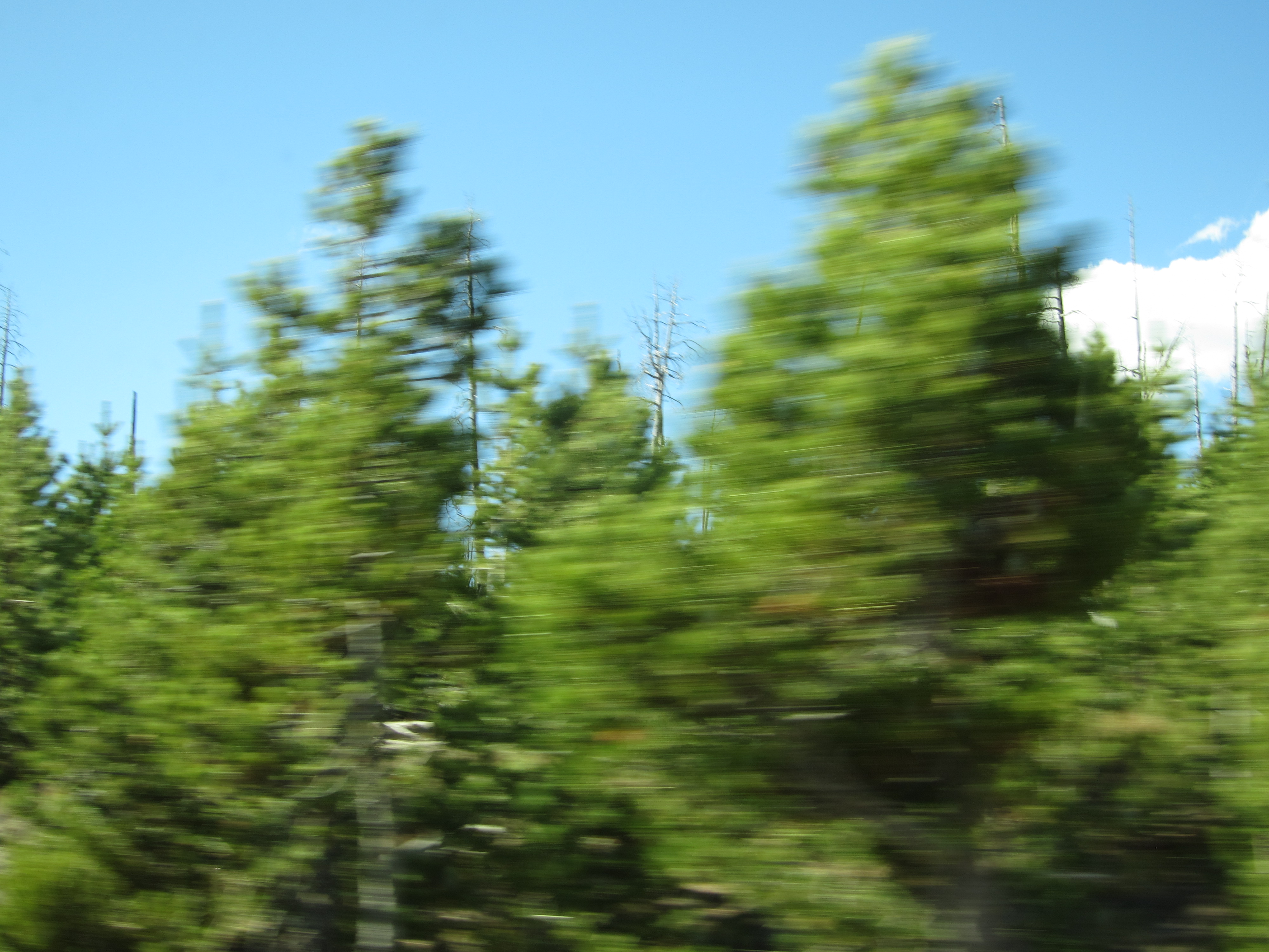 Digicam sample photo