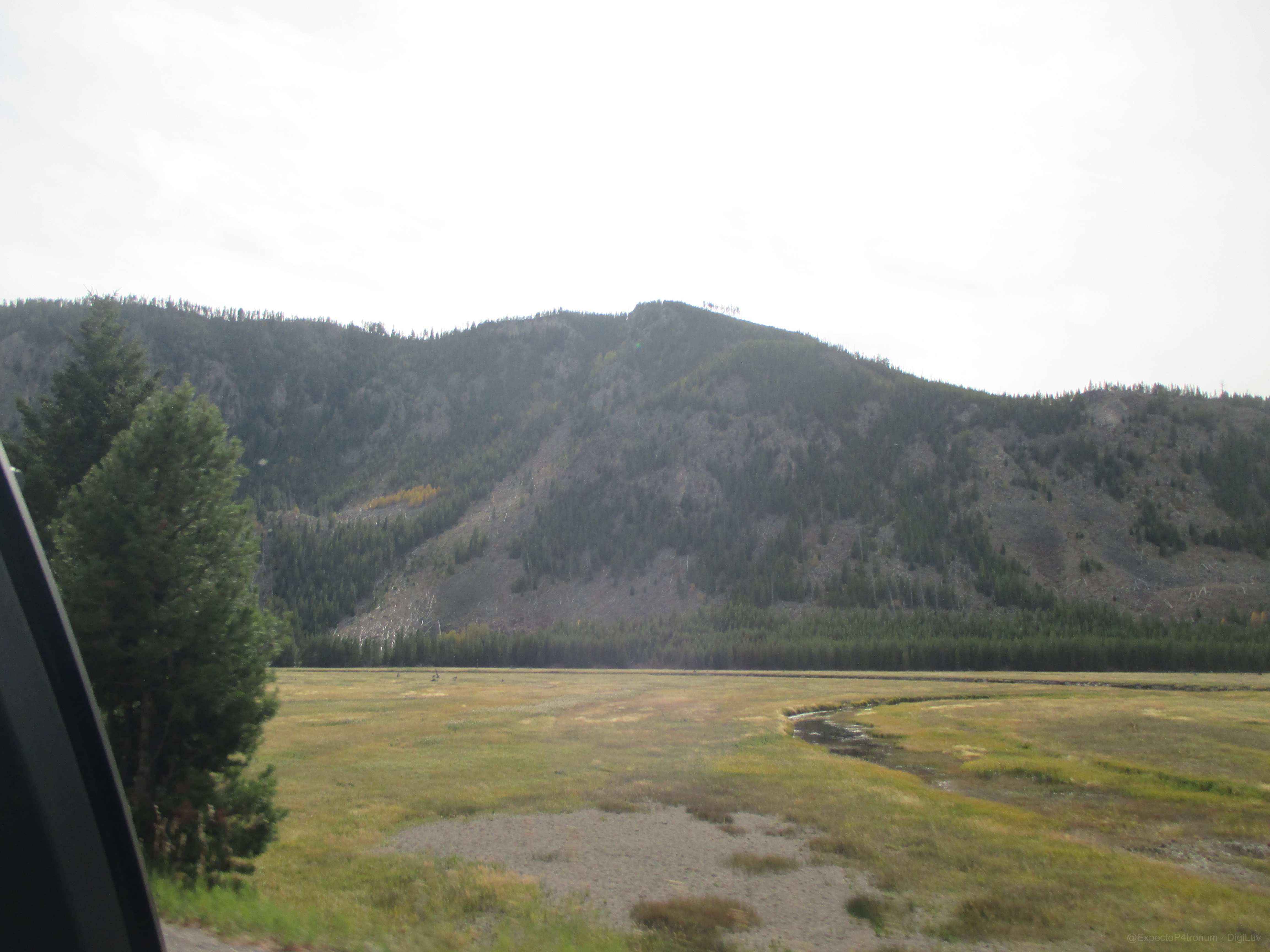 Sample photo
