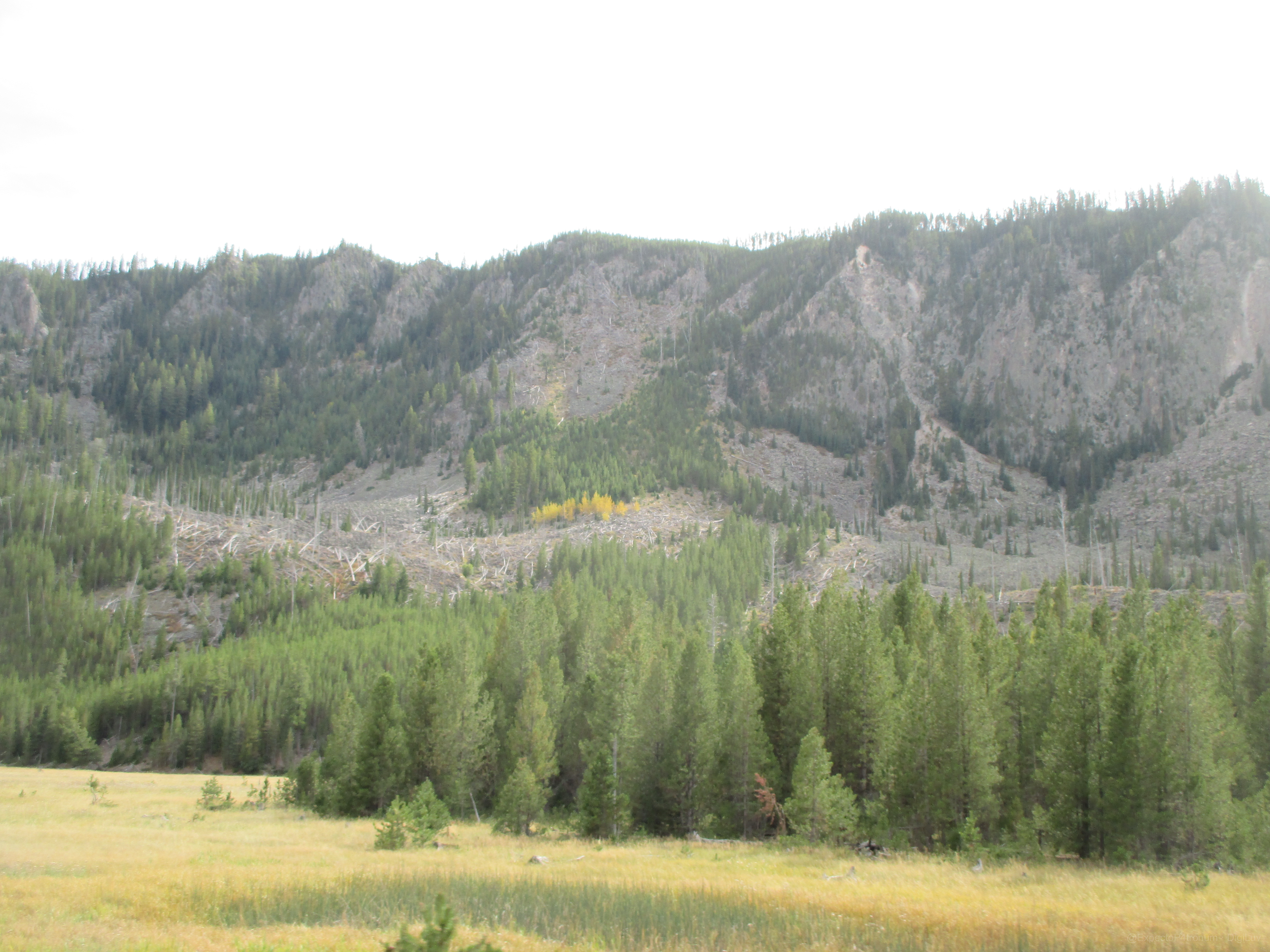 Sample photo