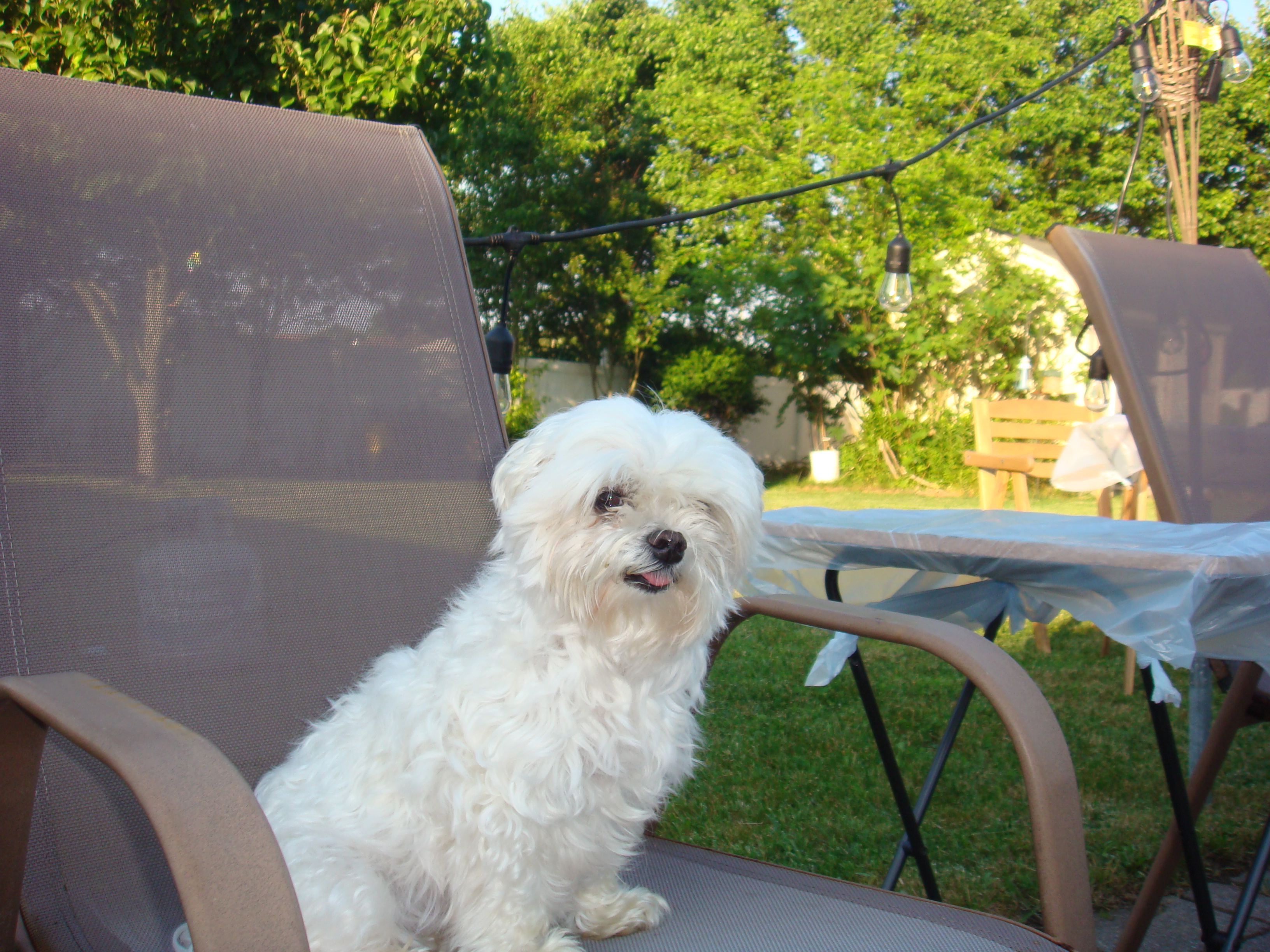Digicam sample photo