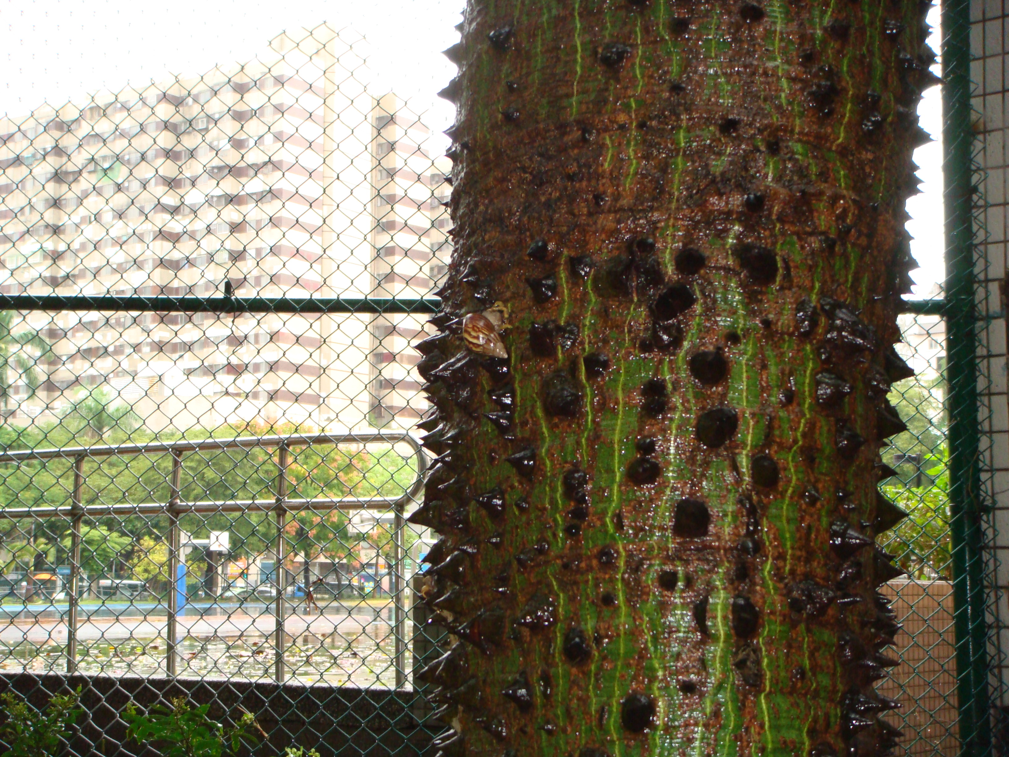 Digicam sample photo