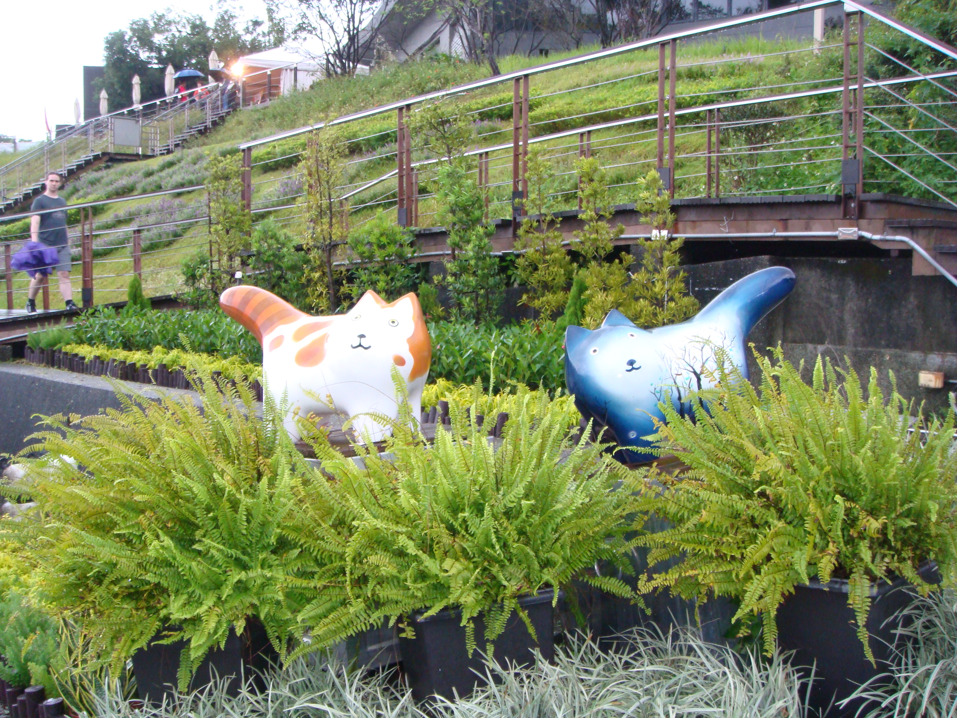 Digicam sample photo