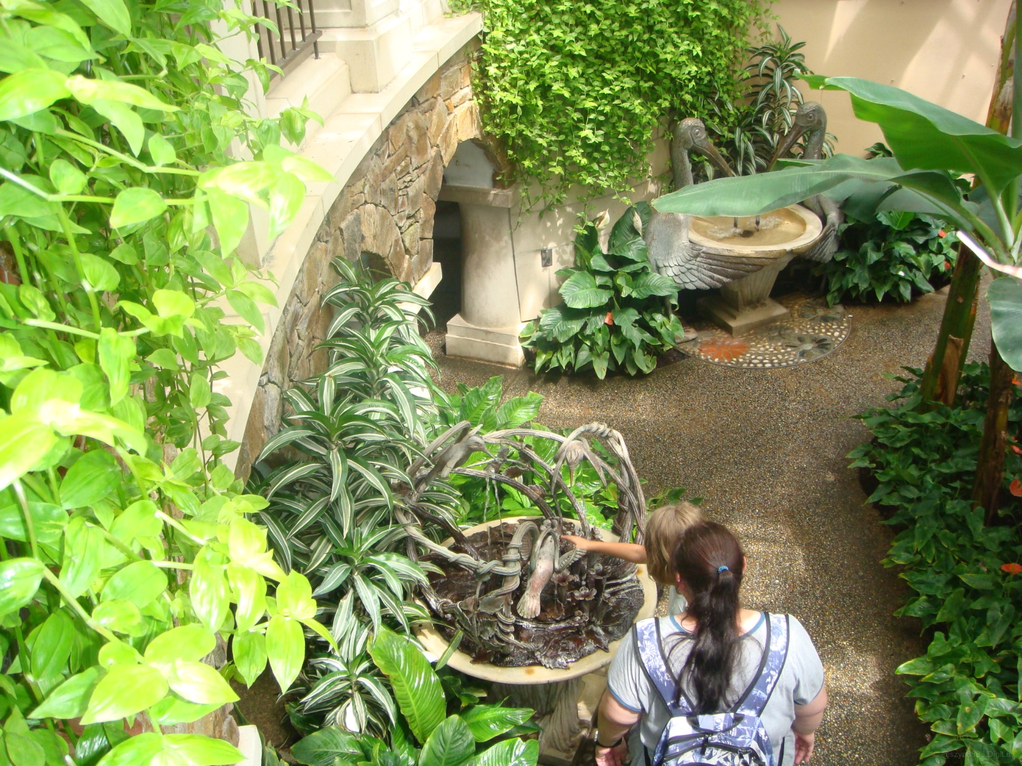 Sample photo