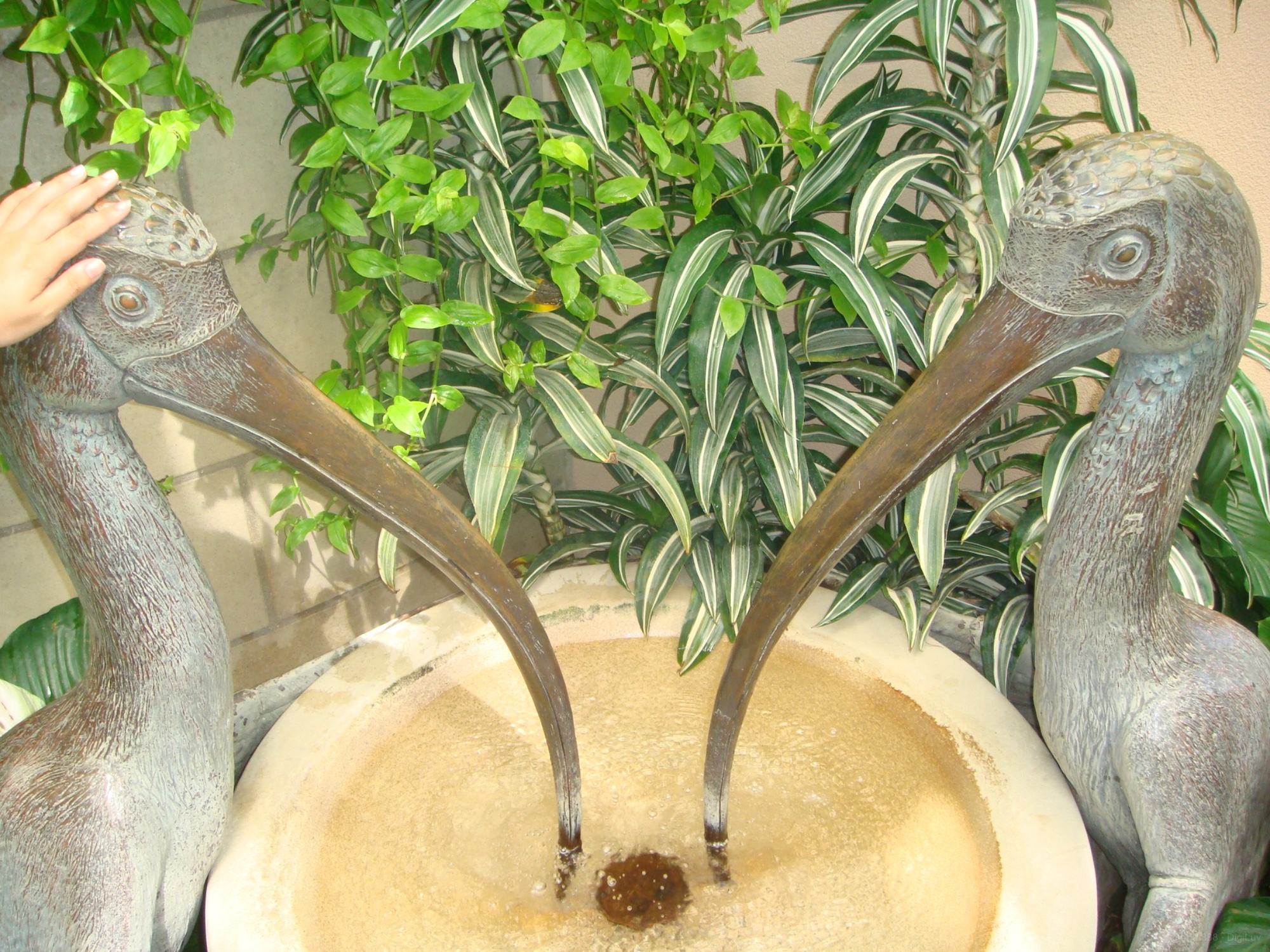Sample photo