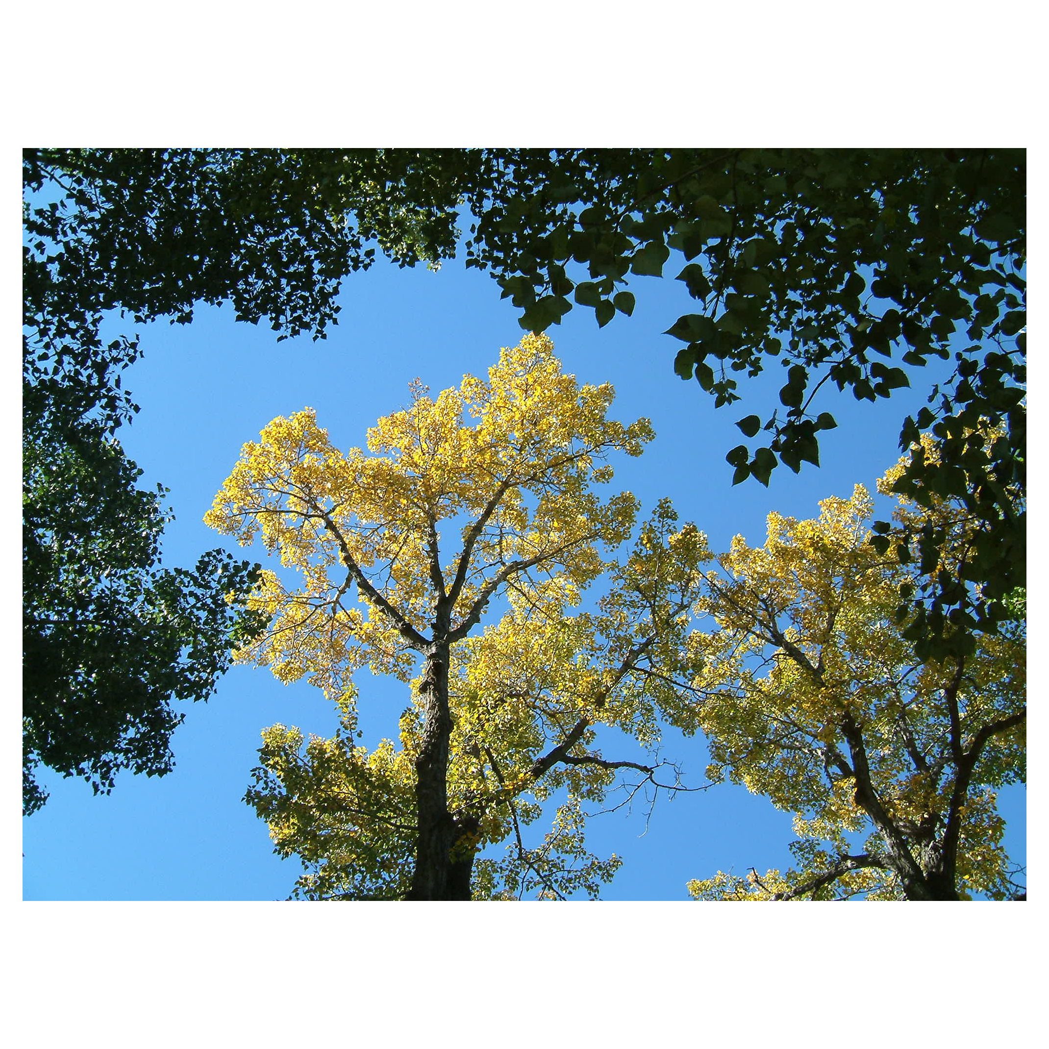 Sample photo
