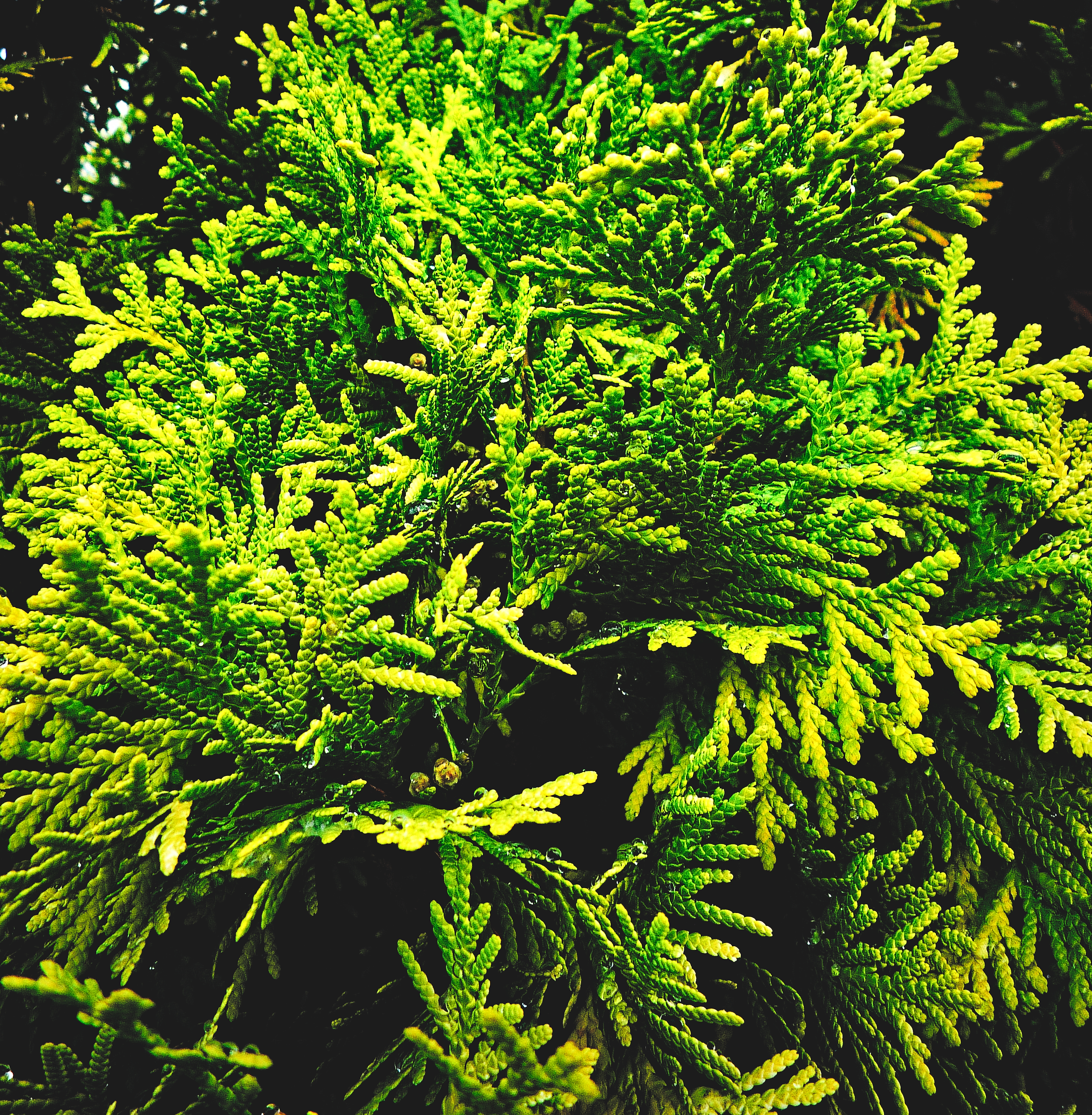 Digicam sample photo