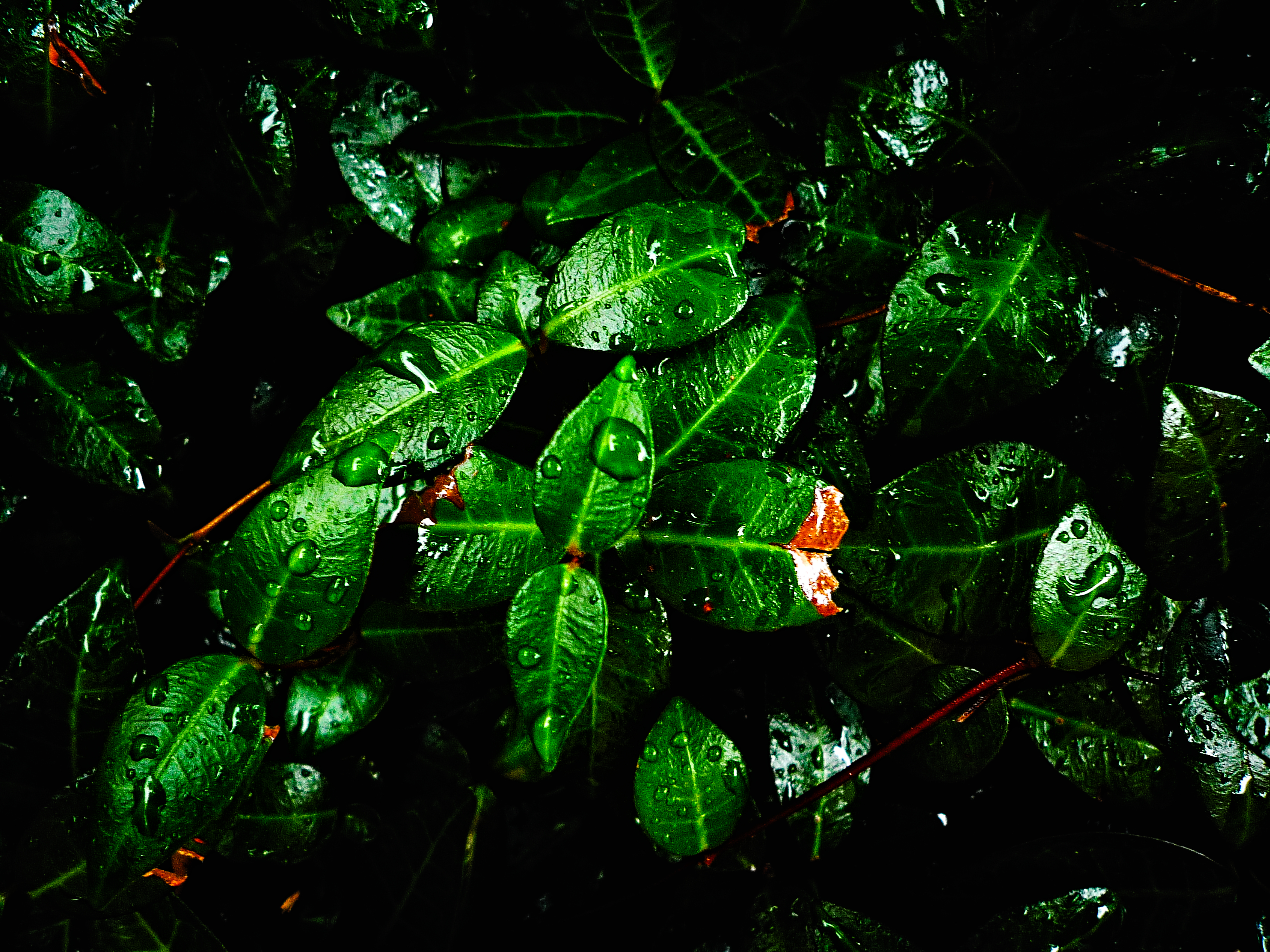 Digicam sample photo