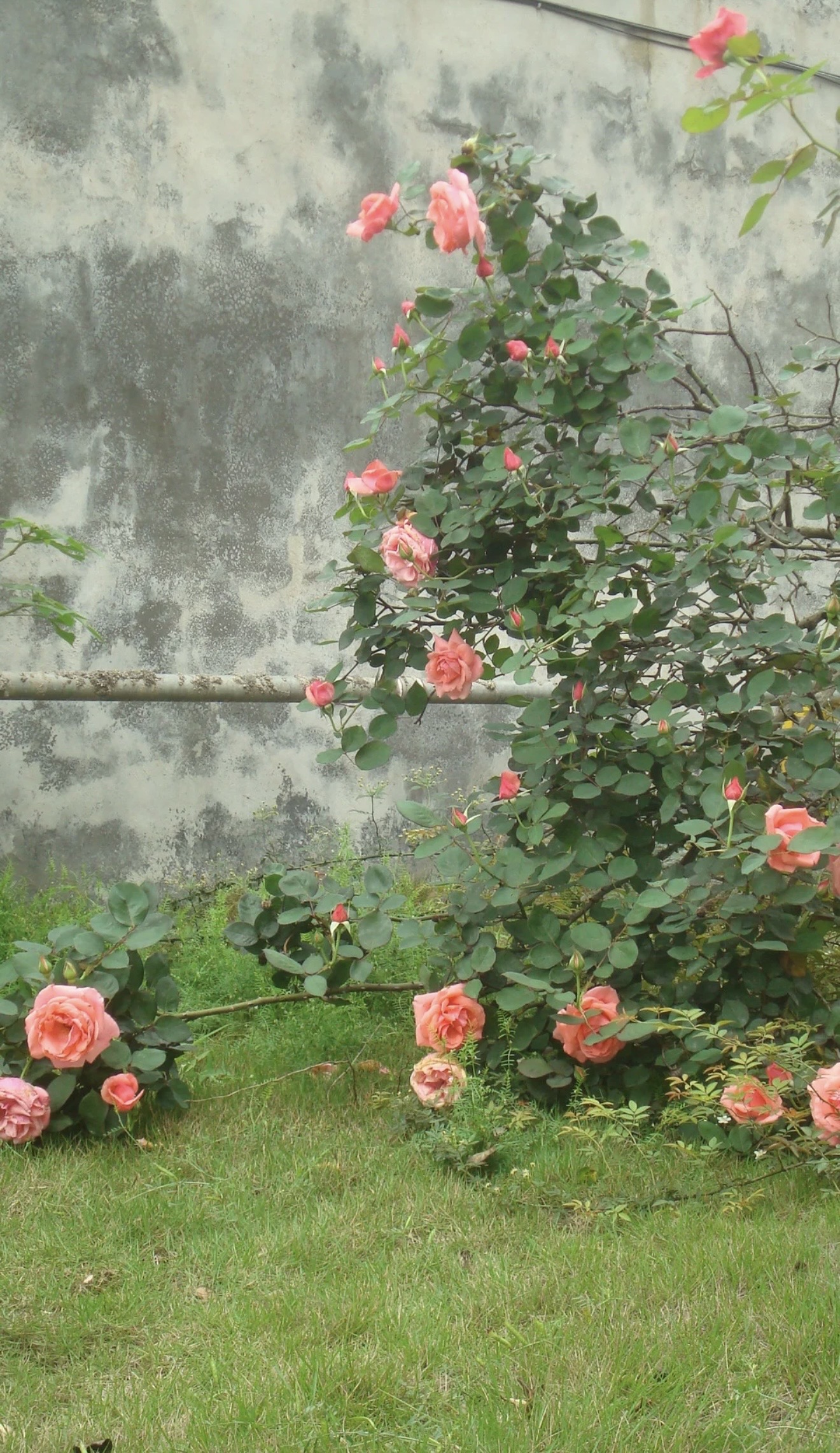 Digicam sample photo