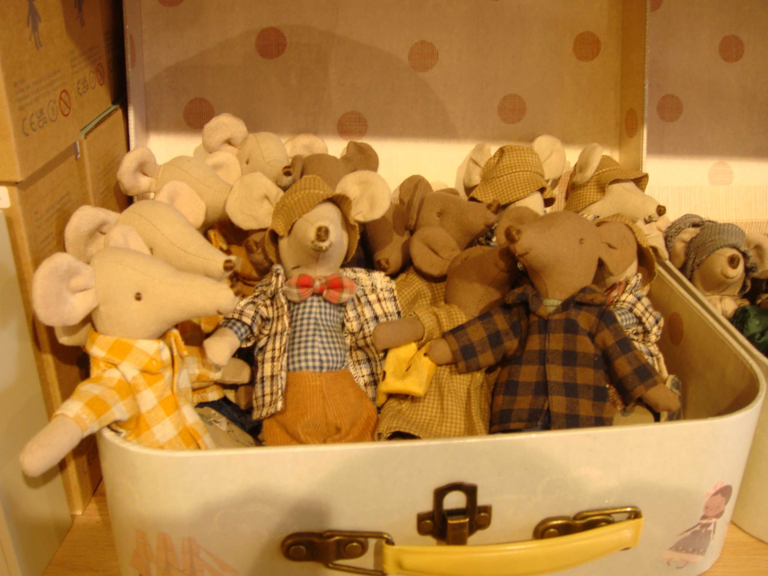 Digicam sample photo