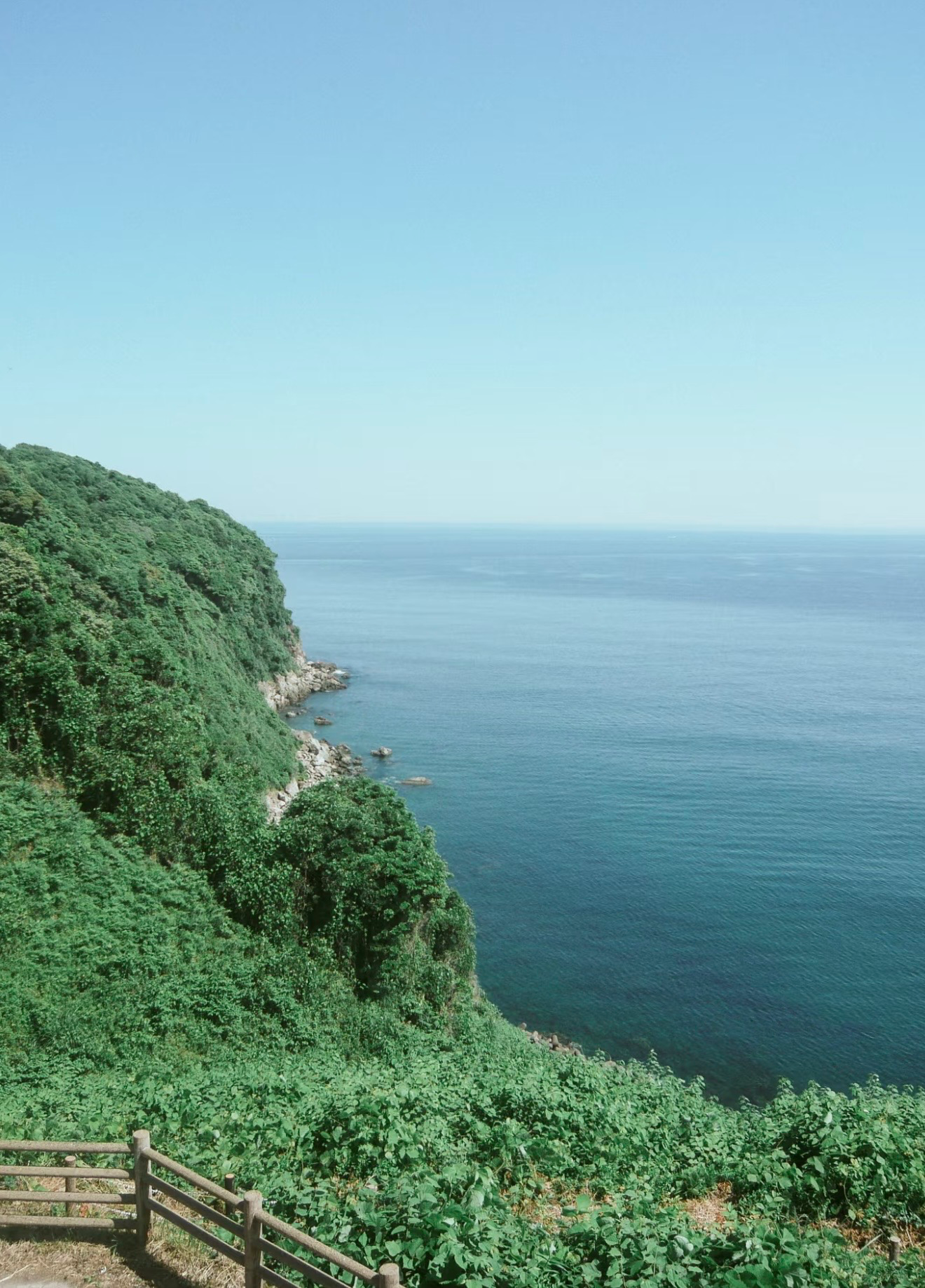 Sample photo