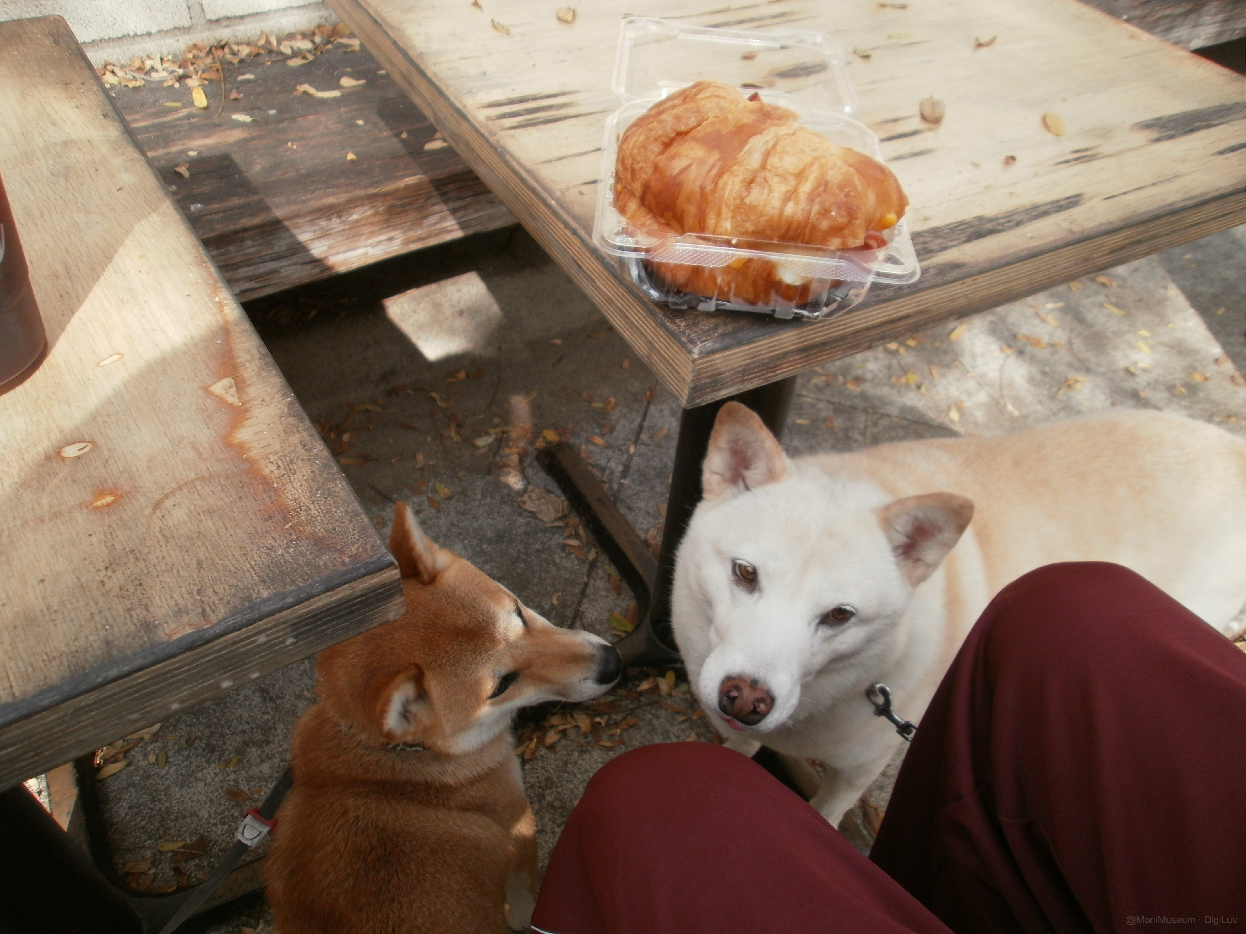 Sample photo