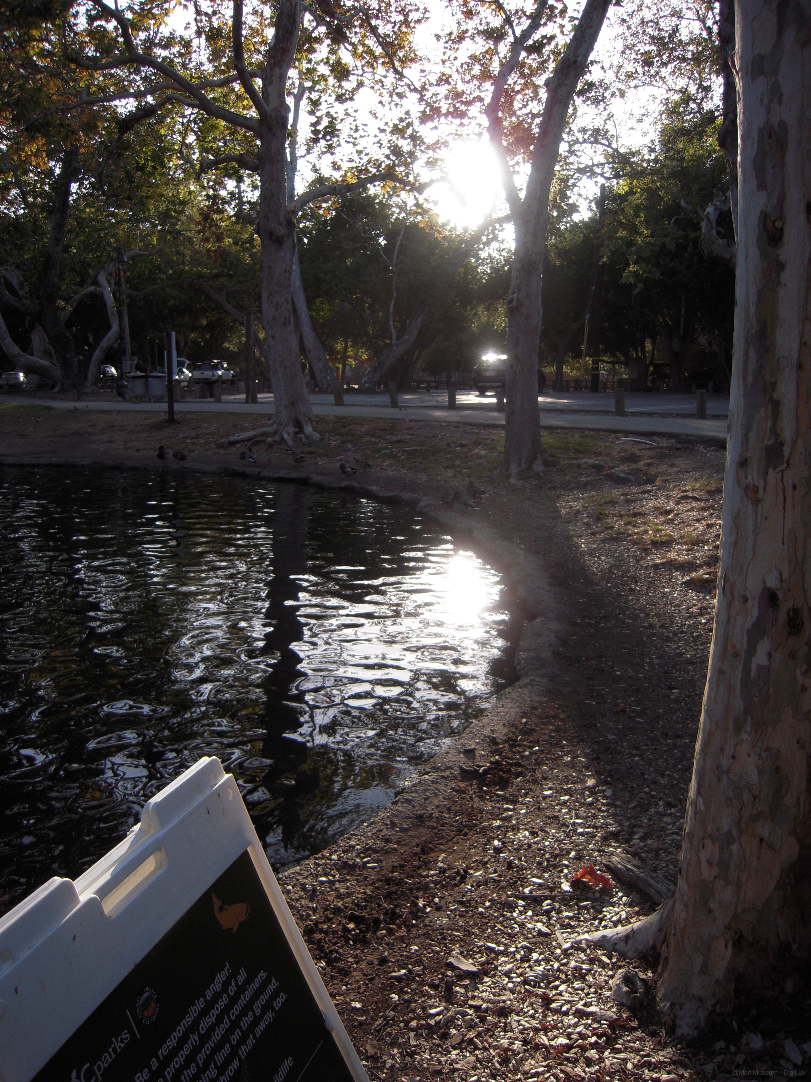 Sample photo