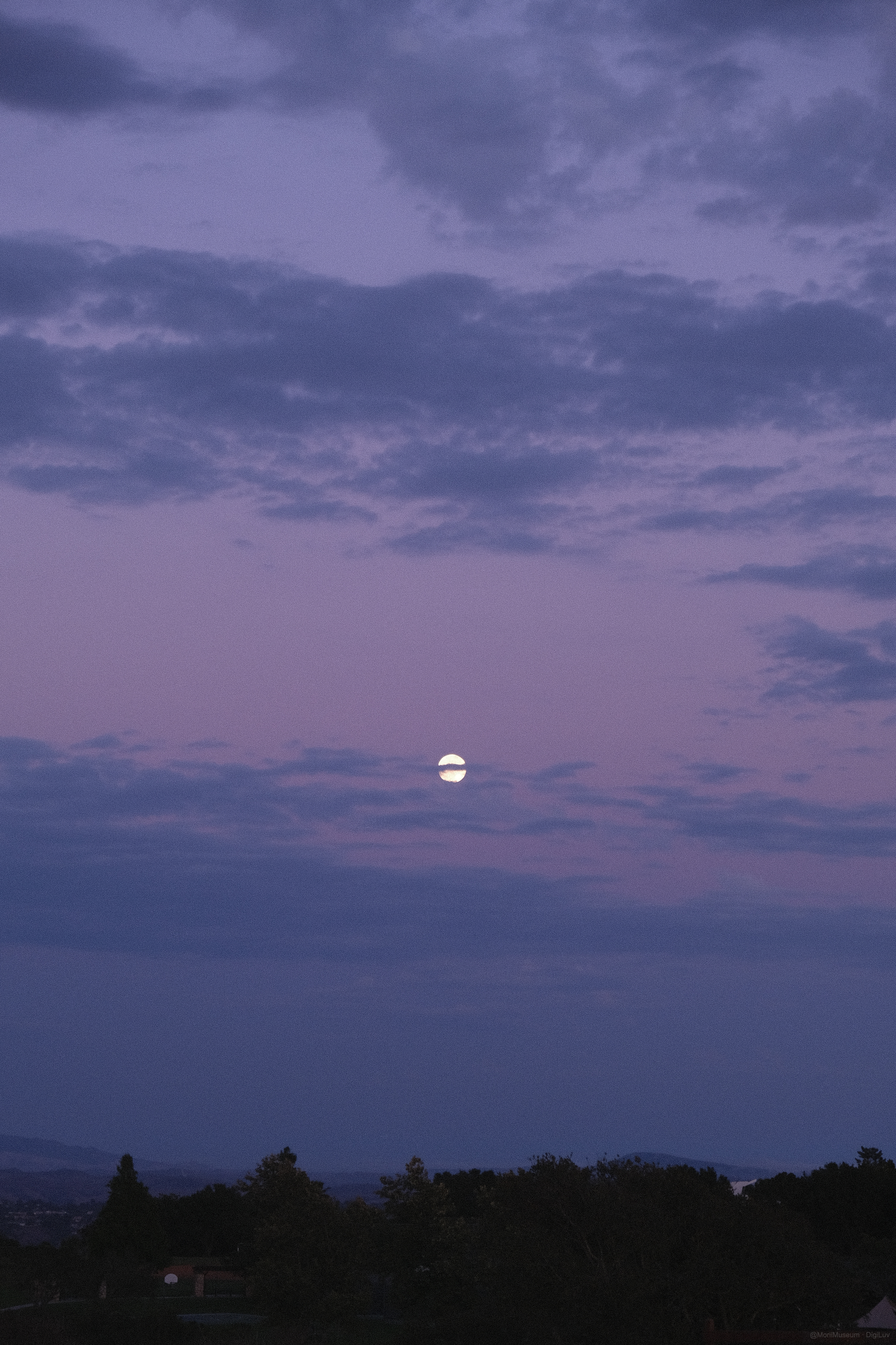 Sample photo
