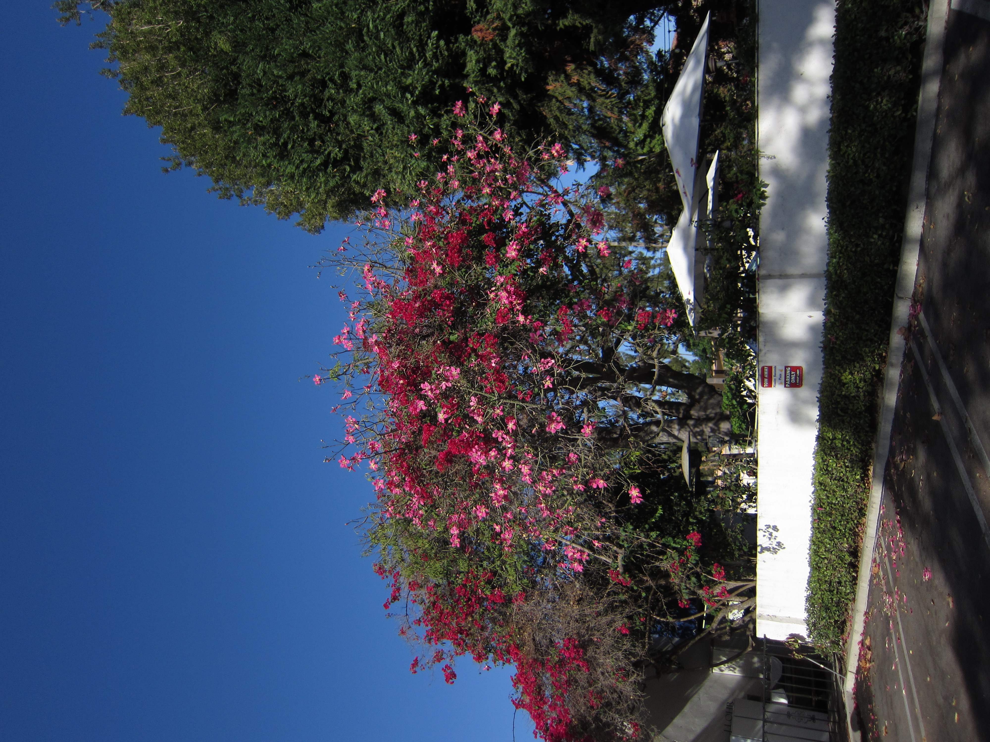 Digicam sample photo
